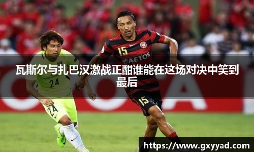 VSport登录