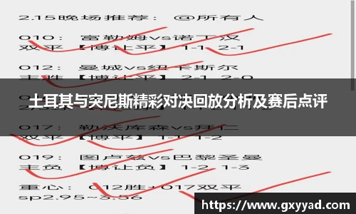 土耳其与突尼斯精彩对决回放分析及赛后点评